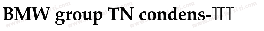 BMW group TN condens字体转换